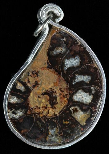 Moroccan Ammonite Fossil Pendant #58394